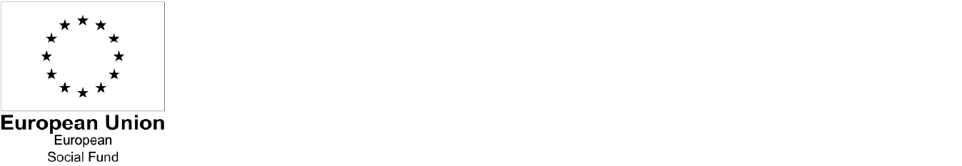 The Birmingham Youth Promise Plus service logos in white