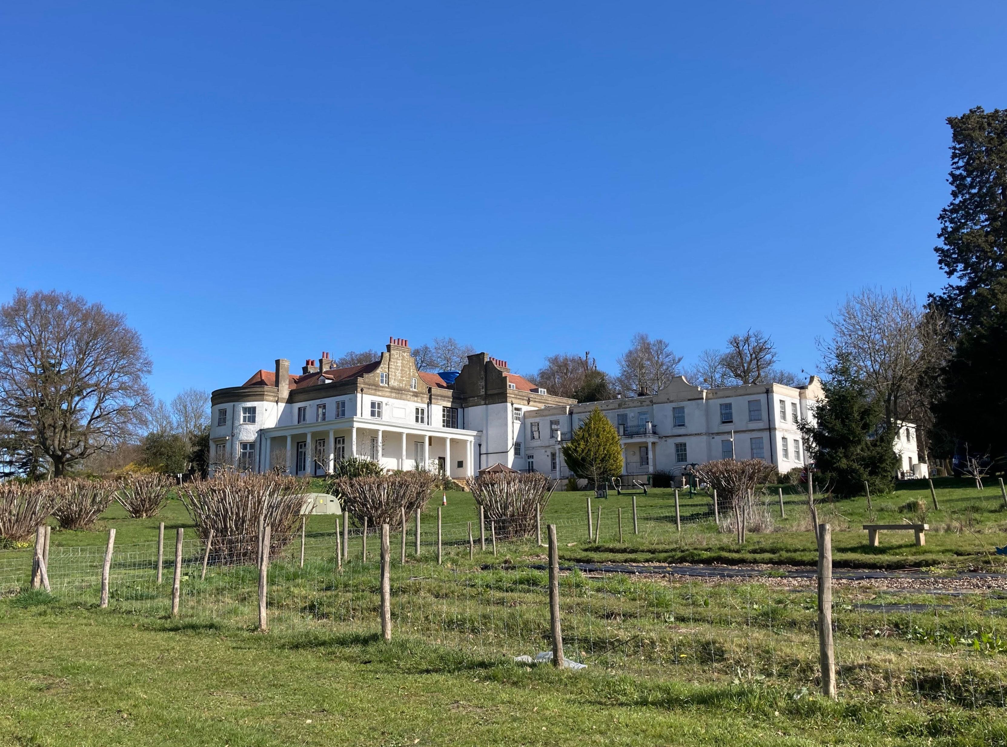 Kenward trust's back garden - an orchard with trees and the back of the main building in the background