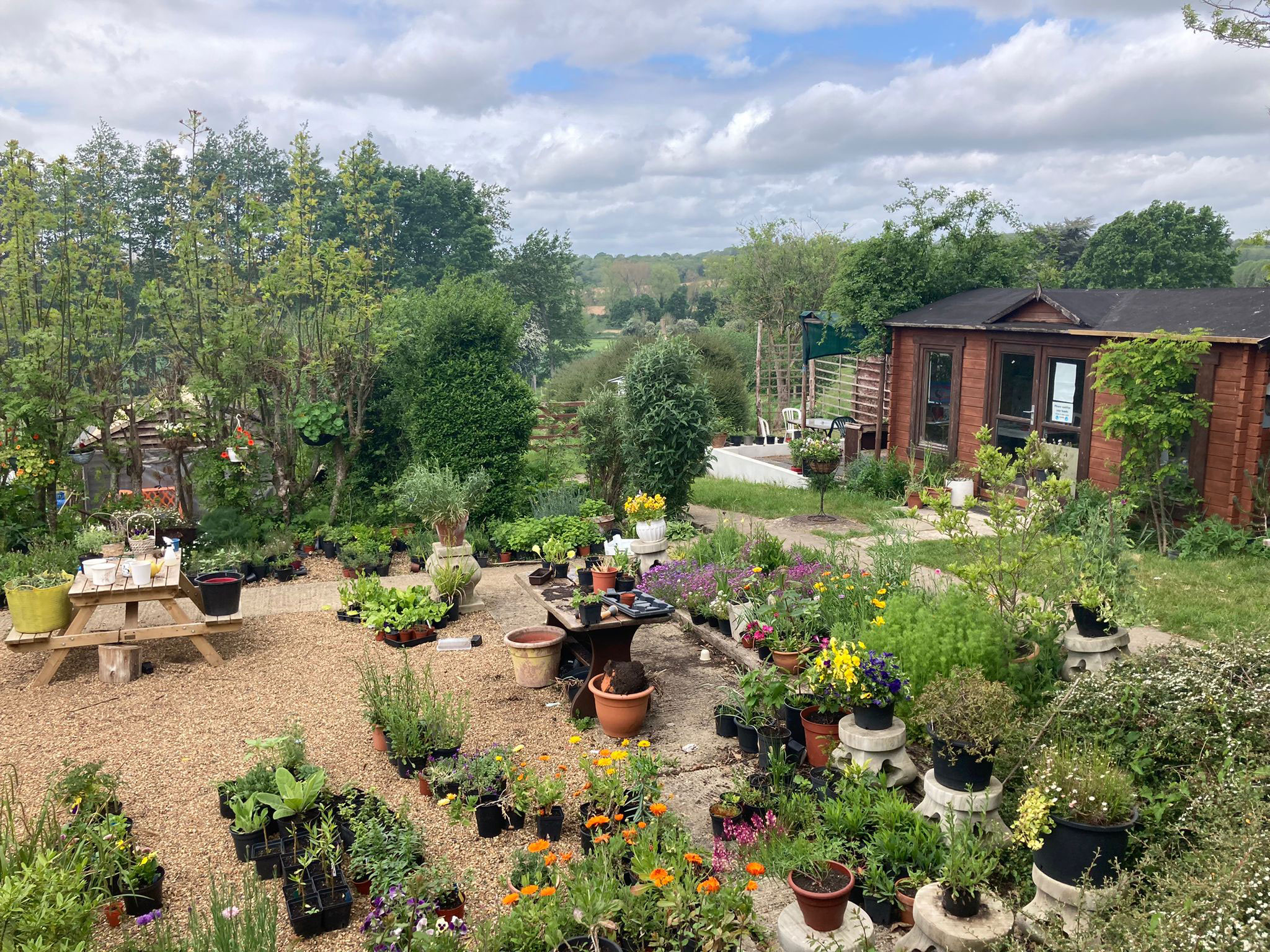 Kenward Trust's gardens - lots of potted plants, trees and a garden shed