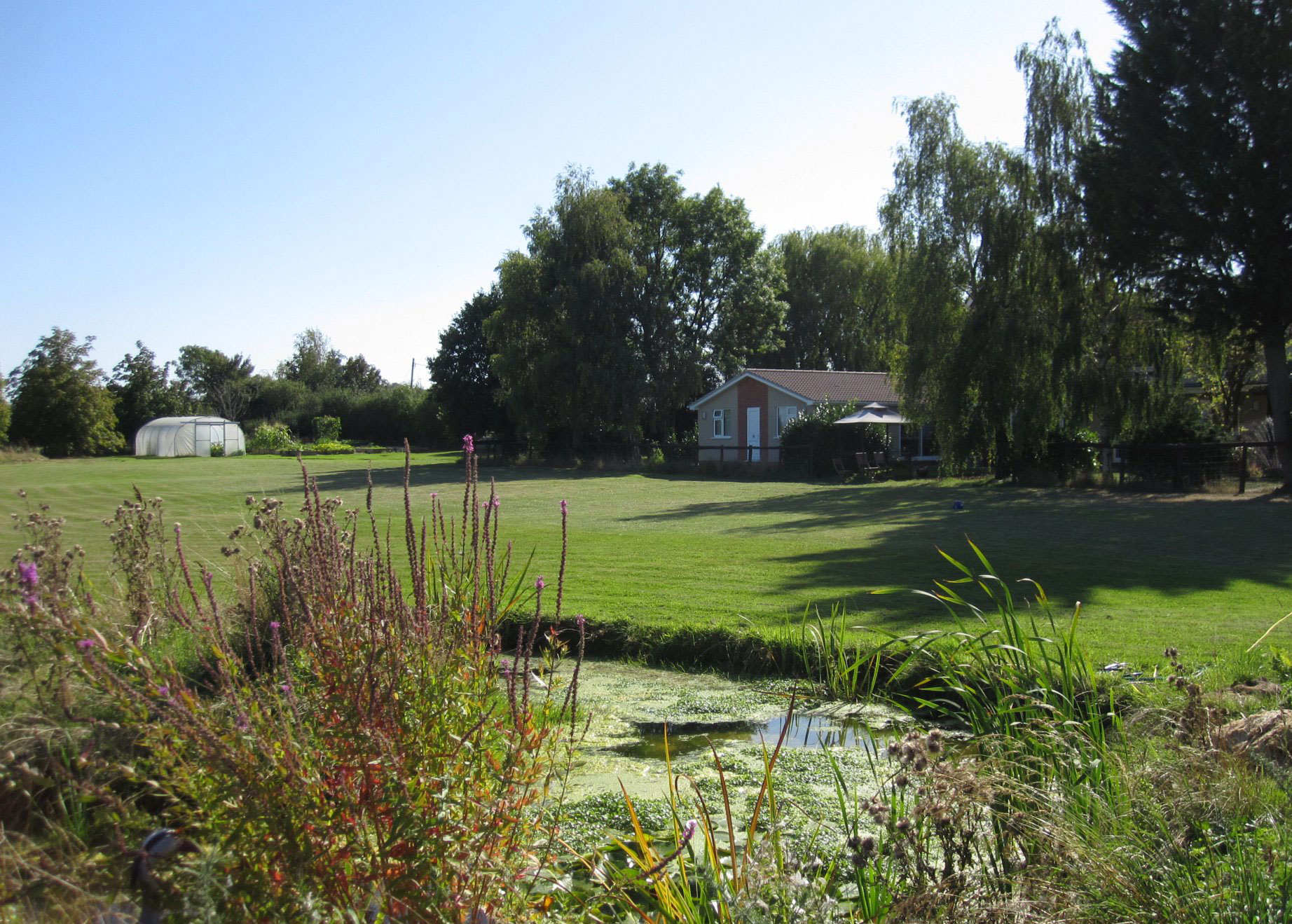 ESH community grounds - a large lawn, with bushes in the foreground and trees in the background