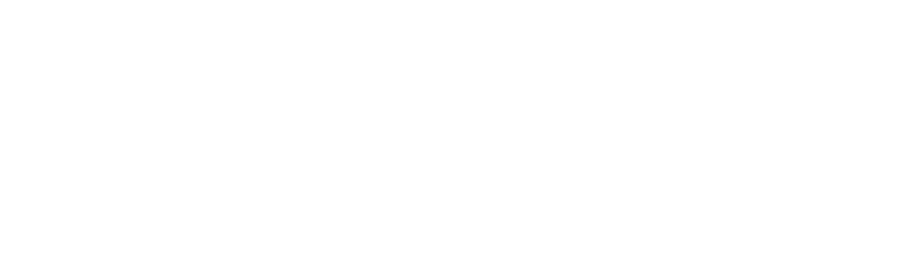 Street Outreach Service - Waltham Forest White logo