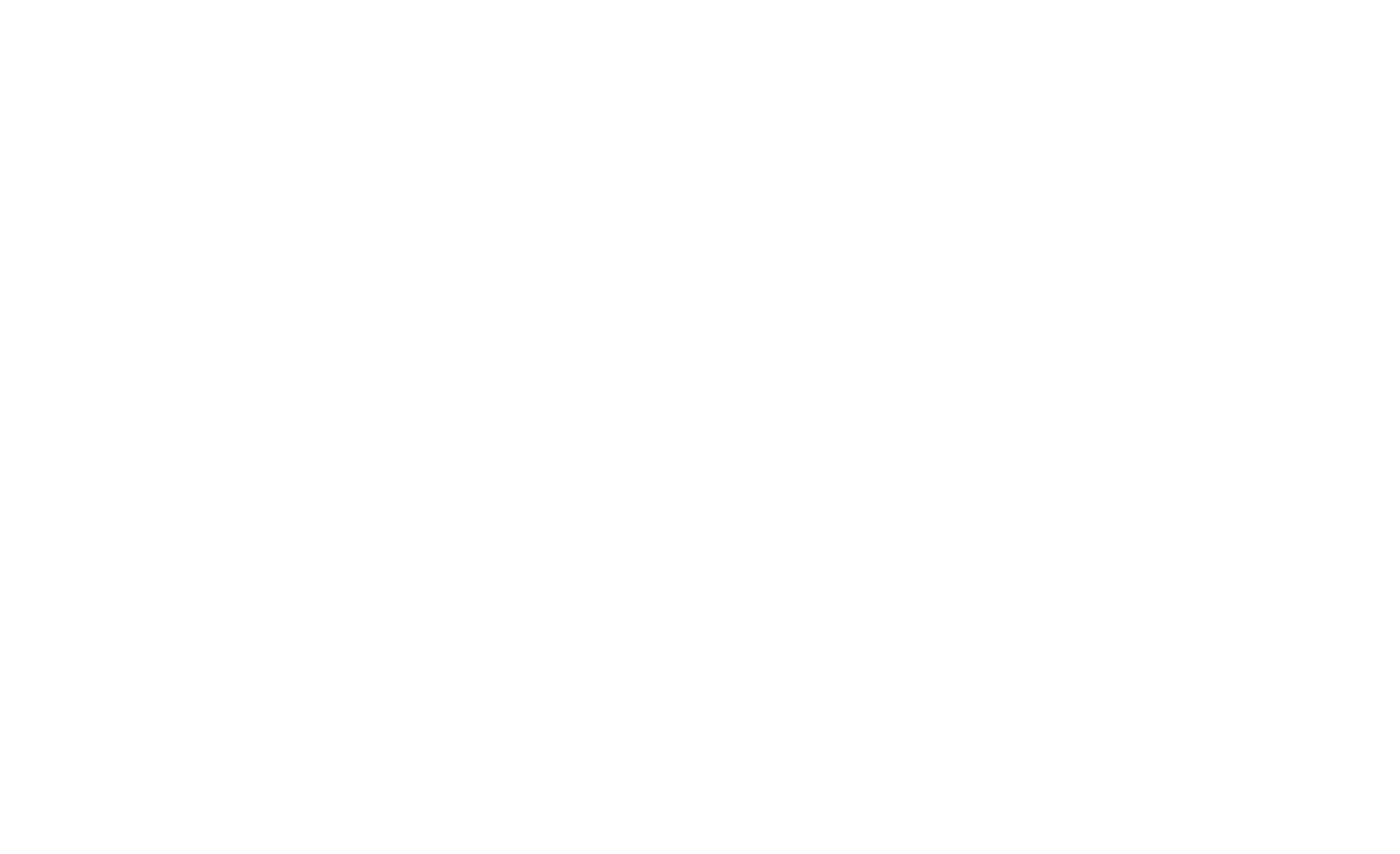 The Place Nottingham White logo