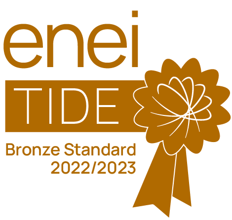 Bronze Tide Award