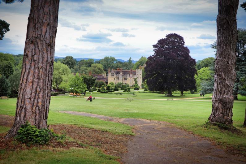 Two trees are on either side of the image showing off the gardens beyond