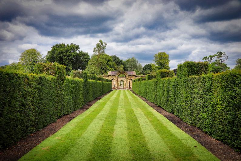 Long lawns with hedges either side