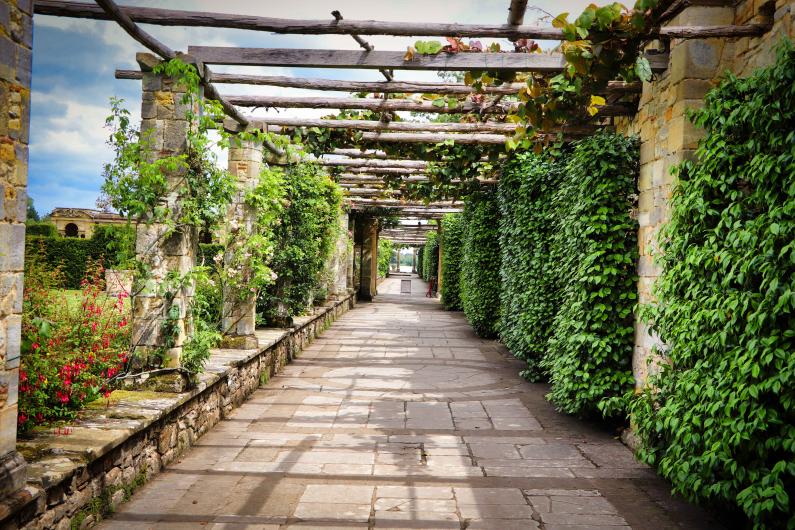 Gardens with trellis creating a walkway